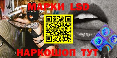 крисы Моздок