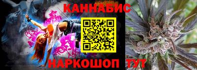 крисы Моздок