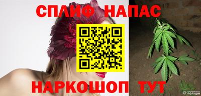крисы Моздок