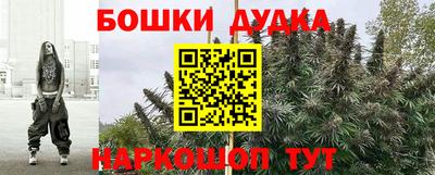 крисы Моздок