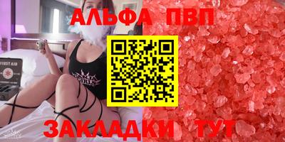 крисы Моздок